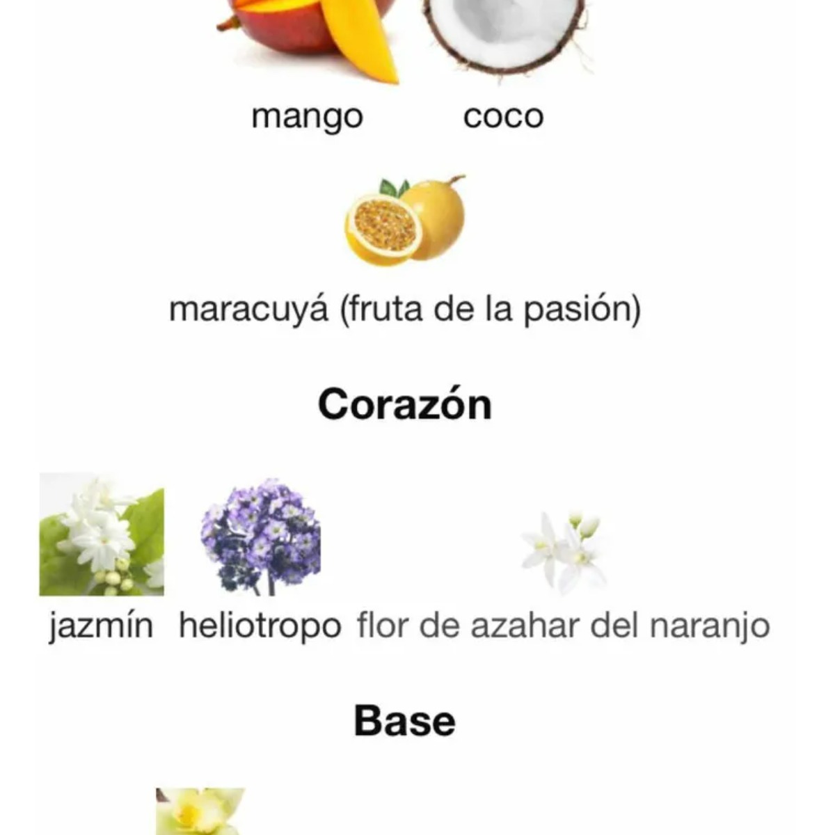 Lattafa Perfume Yara Tous Eau De Parfum 100ml - Imagen 4