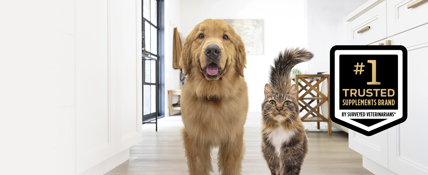 Dog and cat # 1 recommended badge