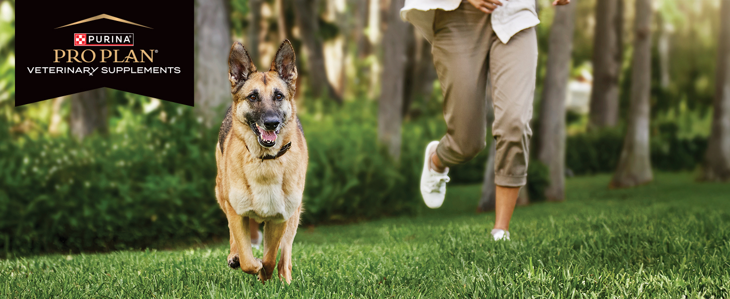 Forti Flora dog and pro plan vet diets logo