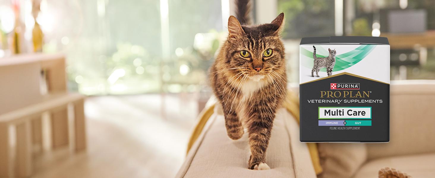 multi cat walking pro plan vet diets